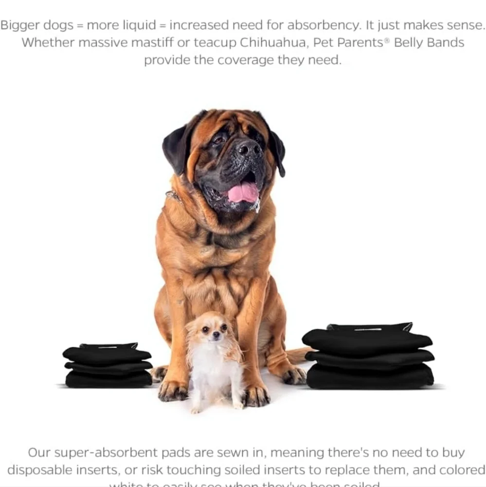 Pet Parents Belly Bands Black Med